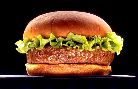 Hamburger Fast Food photo