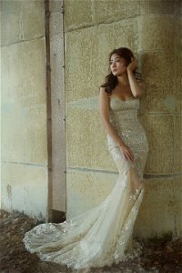 Wedding Dress Bride photo