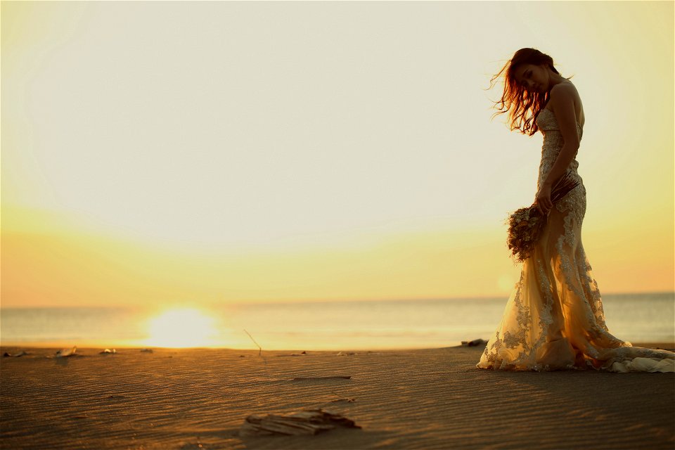 Wedding Dress Bride