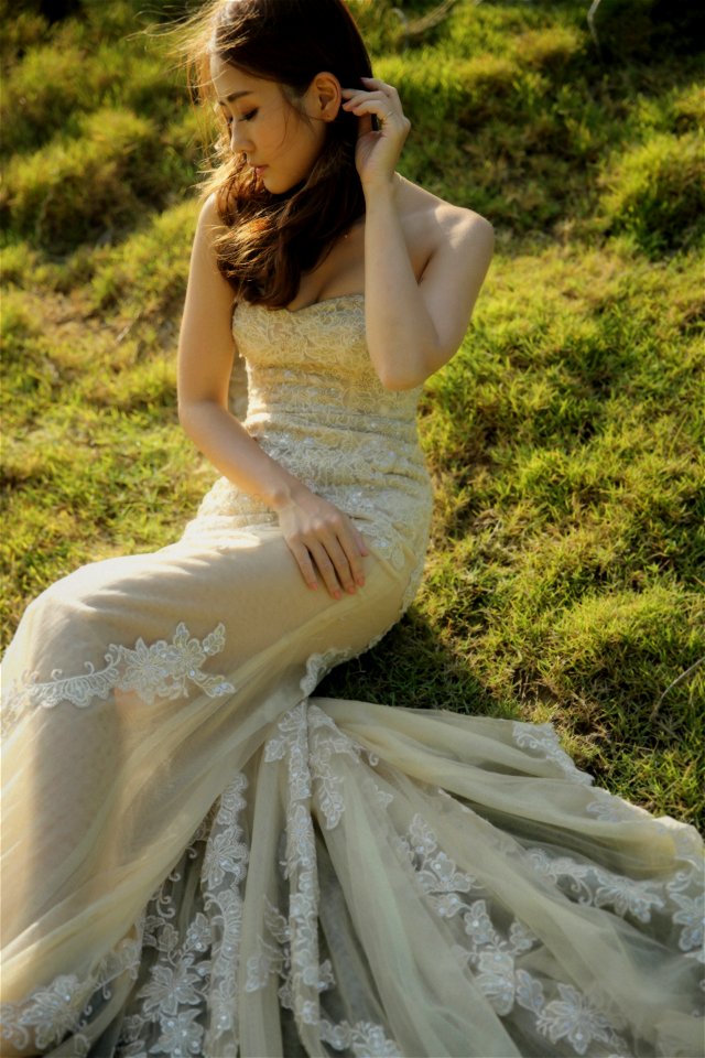 Wedding Dress Bride photo