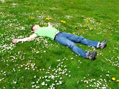Man Sleep Grass photo