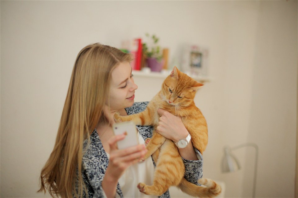 Woman Girl Portrait Cat