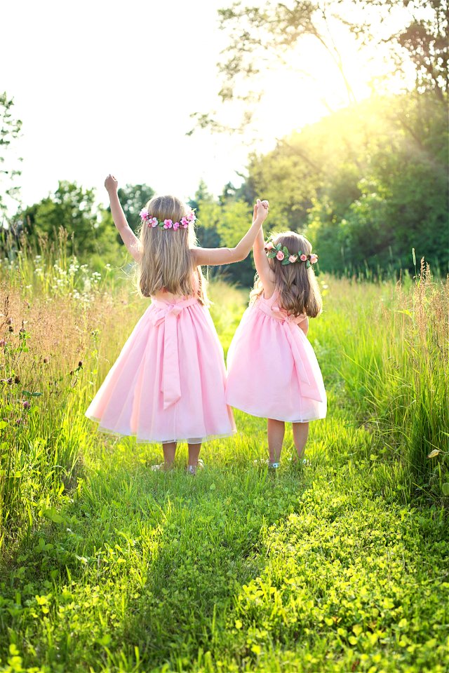 Sister Children Grass photo