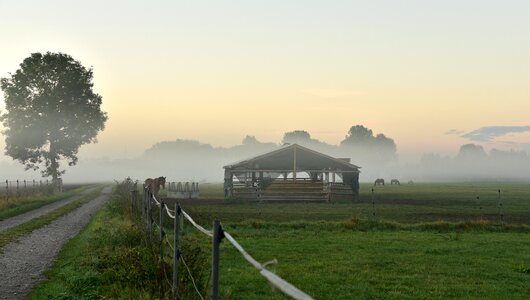 Landscape agriculture away