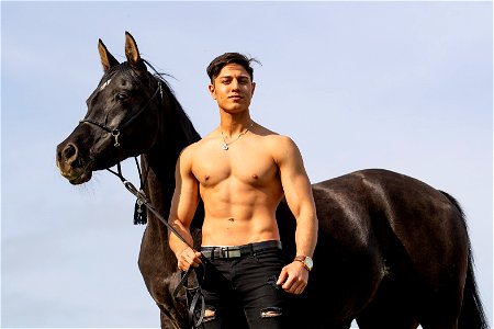 Man Portrait Horse