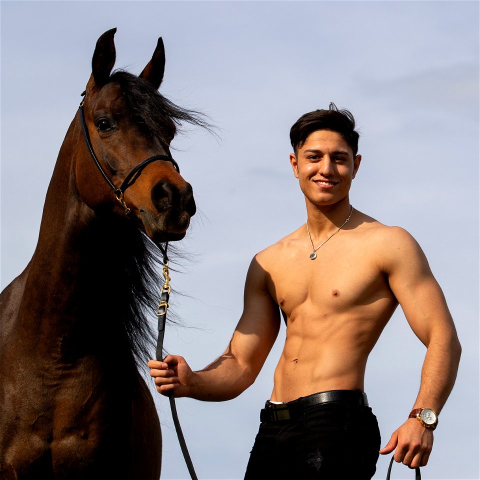 Man Portrait Horse