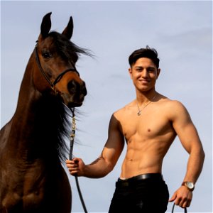 Man Portrait Horse
