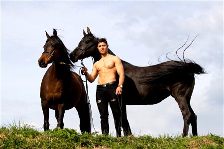 Man Portrait Horse
