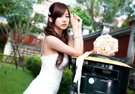 Bride Wedding Dress