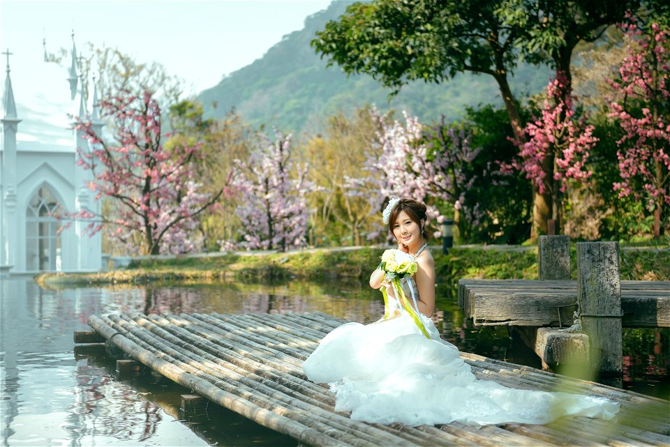 Bride Wedding Dress