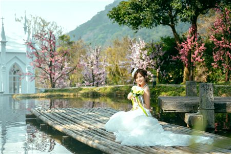 Bride Wedding Dress