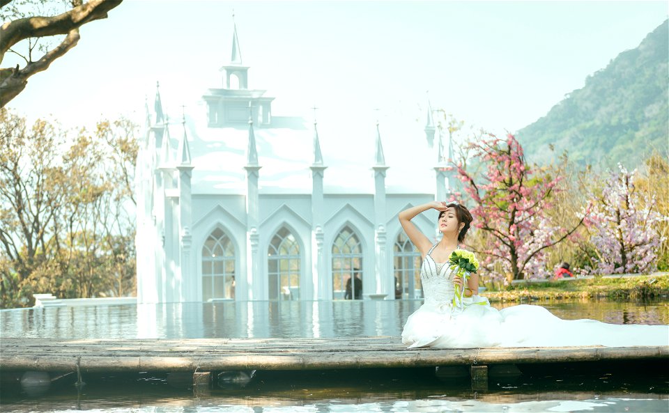Bride Wedding Dress