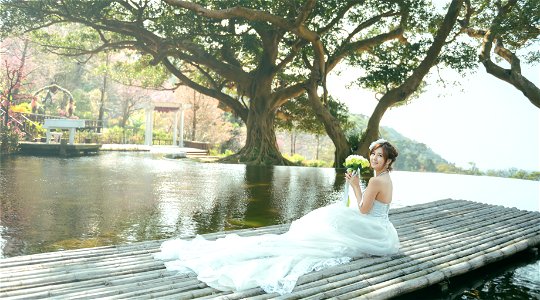 Bride Wedding Dress