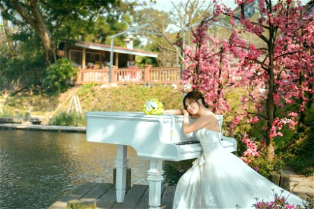 Bride Wedding Dress