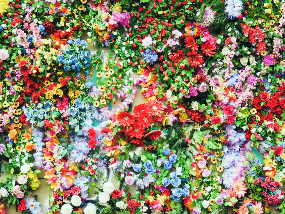 Flower Background
