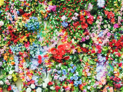 Flower Background
