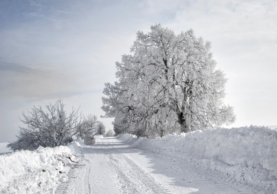 Snowy snow landscape