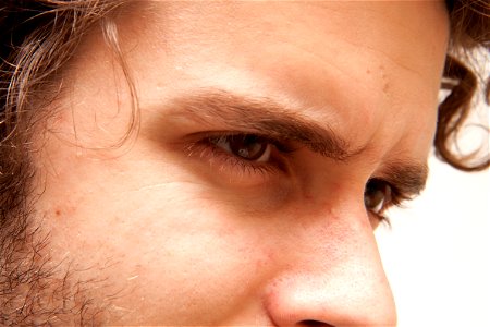 Eye Eyebrow