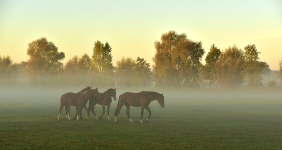 Mood atmosphere landscape