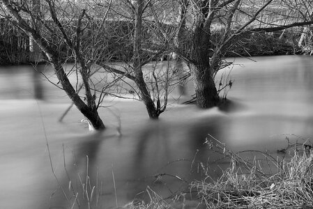 Wood dawn river