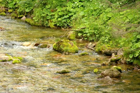 The stones landscape stream