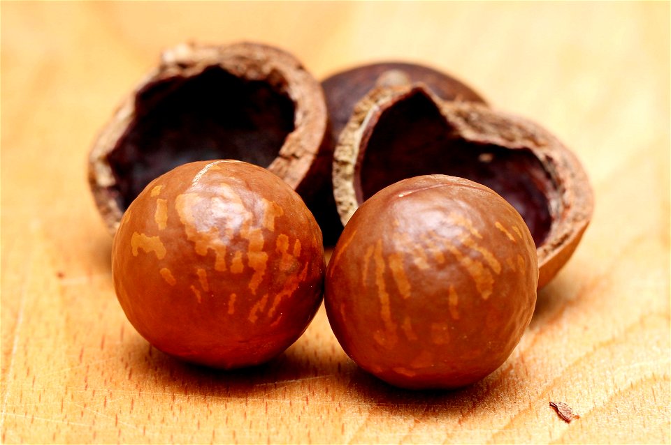 Macadamia Nuts Food
