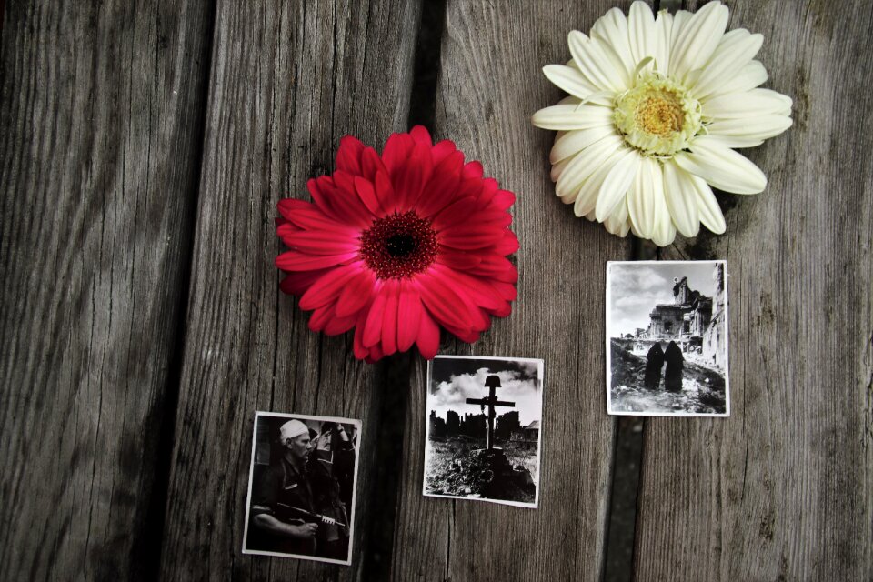 Warsaw uprising history anniversary of the photo