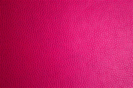 Pink Leather Texture photo