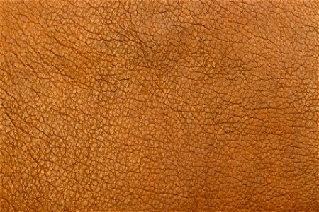 Brown Leather Texture photo