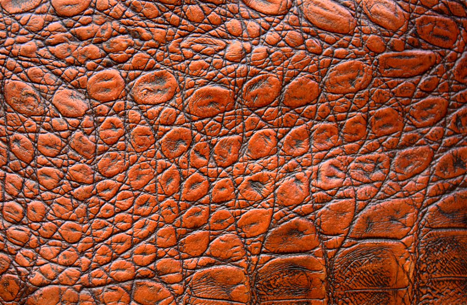 Brown Leather Texture