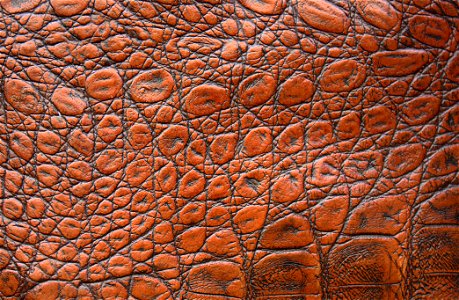 Brown Leather Texture photo