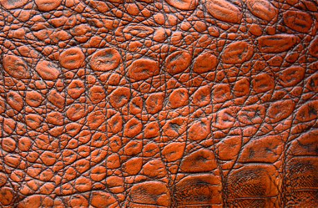 Brown Leather Texture