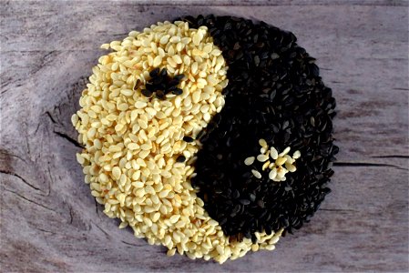 Sesame Food Taijitu