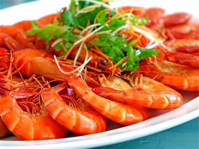 Shrimp Food photo