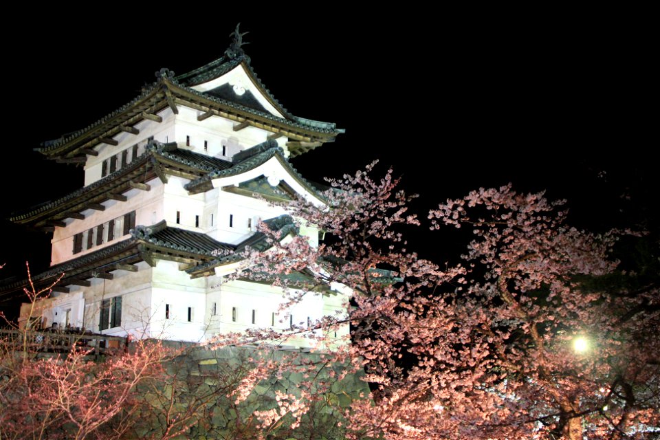 Hirosaki Castle Night