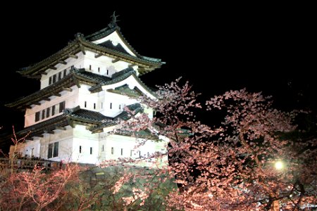 Hirosaki Castle Night