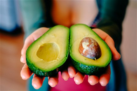 Avocado Fruits Food