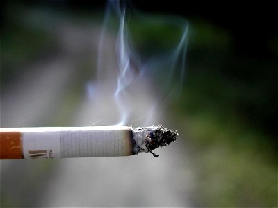 Cigarette Smoke photo