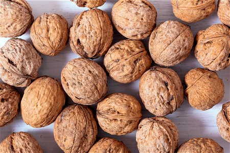 Walnuts Food