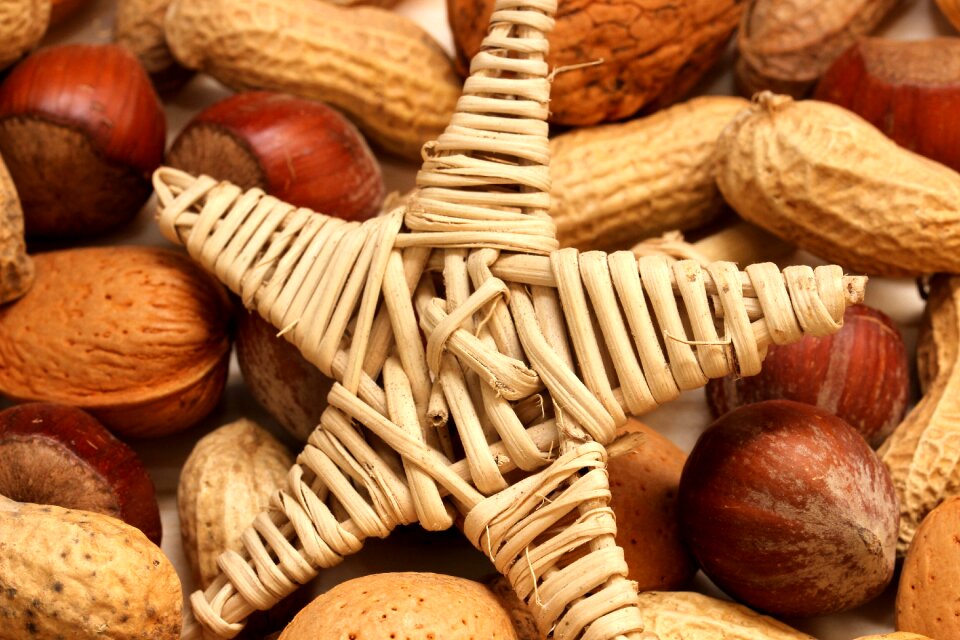 Decoration christmas time nut