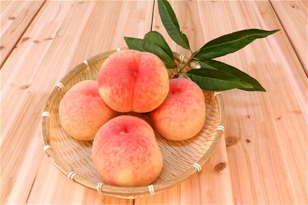 Peach Fruits Food photo