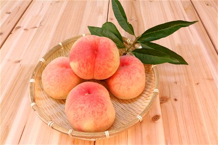 Peach Fruits Food