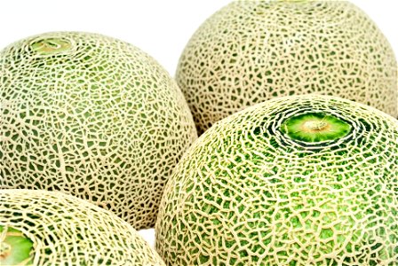 Melon Fruits Food
