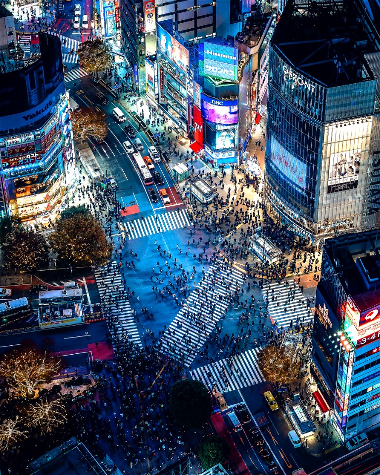 Shibuya Crossing Tokyo