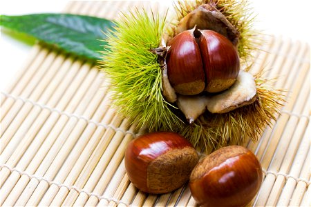 Japanese Chestnuts Food