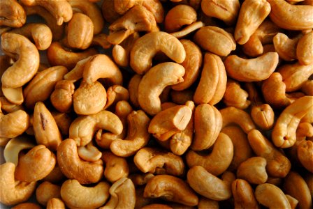 Cashew Nuts Food photo