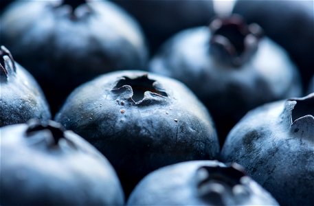 Blueberry Fruits Food photo