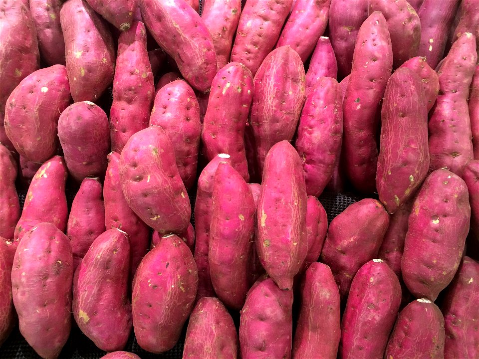 Sweet Potato Vegetable