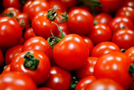 Small Tomato Vegetable
