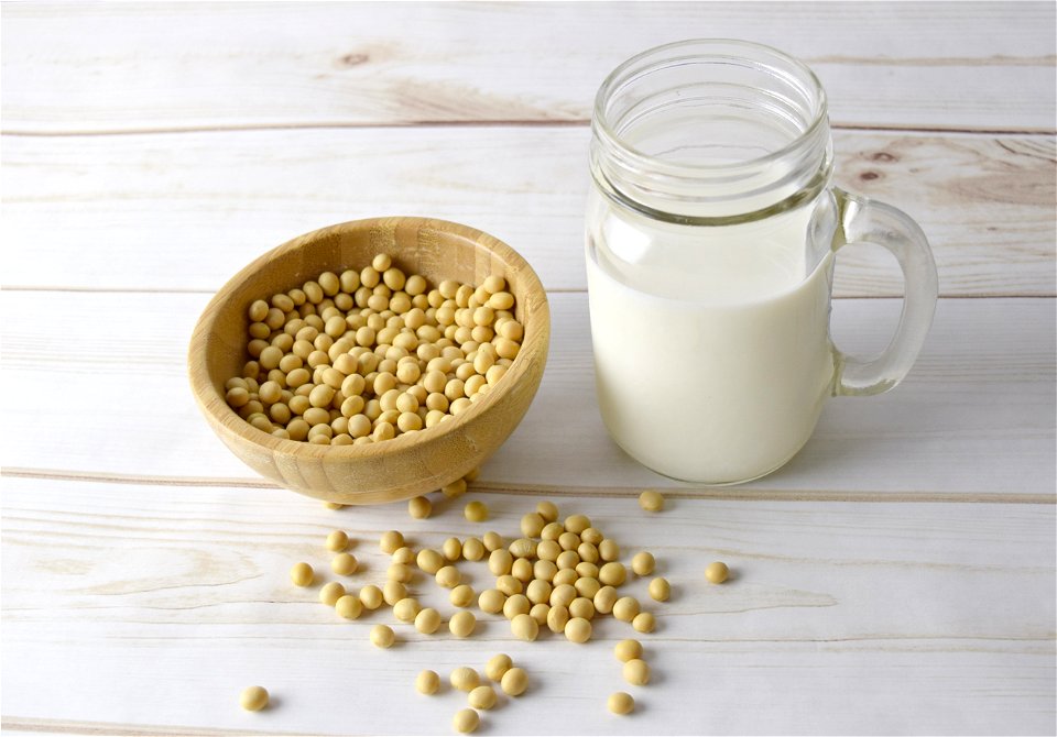 Soy Milk Soybean photo